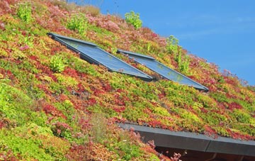 Crowcombe living roof systems