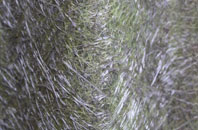 Crowcombe fibreglass roof work